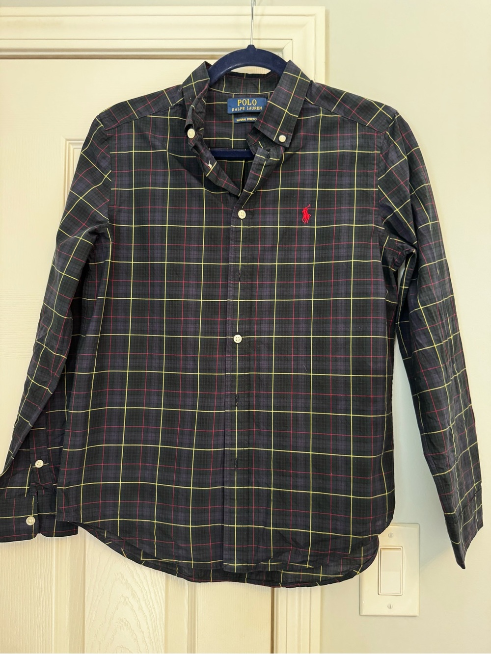 Polo by Ralph Lauren Forest Green Plaid Button-Down Shirt